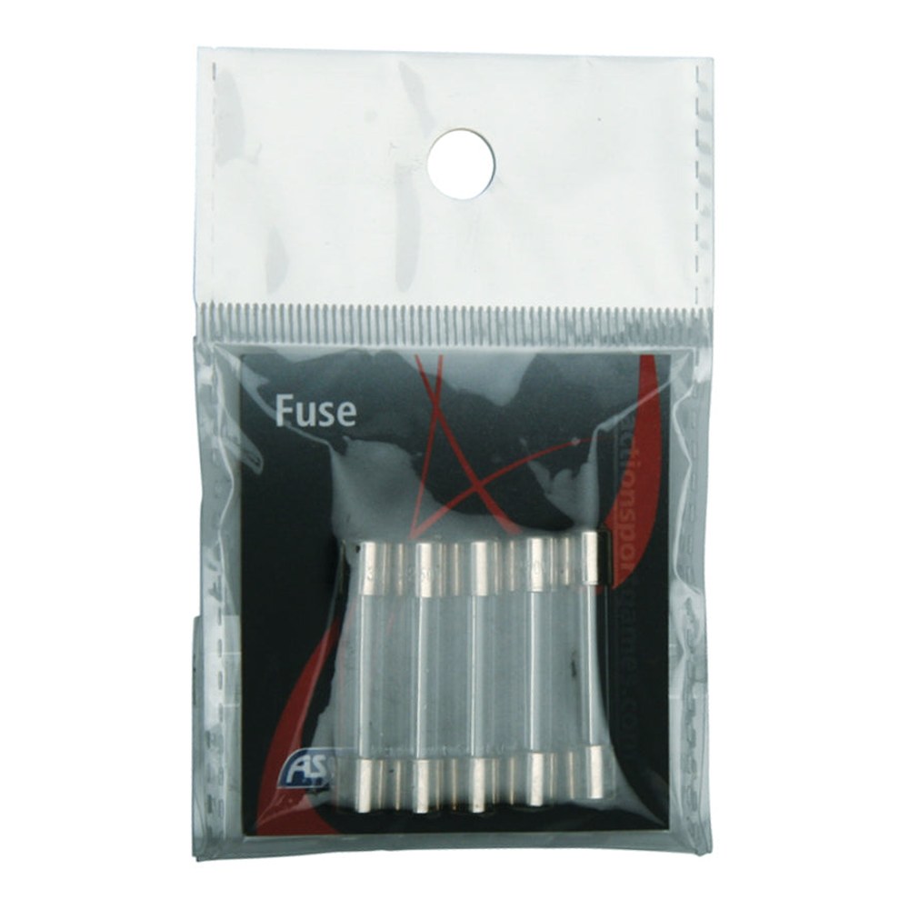 ASG Fusible 20 amperes (x5)